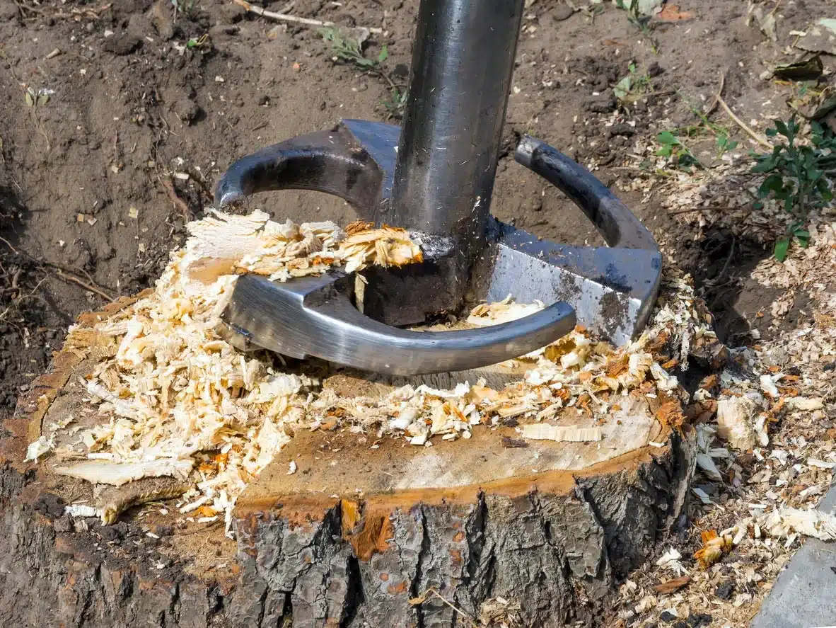 Tree-Stump-Removal-Cost-Types-of-Tree-Stump-Removal